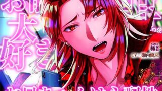 お前の事が大好きなお兄ちゃんは心配性 【極配信】
