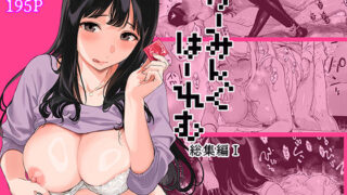 げーみんぐはーれむ総集編I 【笹森トモエ】