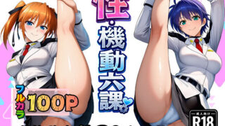 性・起動六課  〜常識改変その2なの！〜 【ぴんぴん丸】